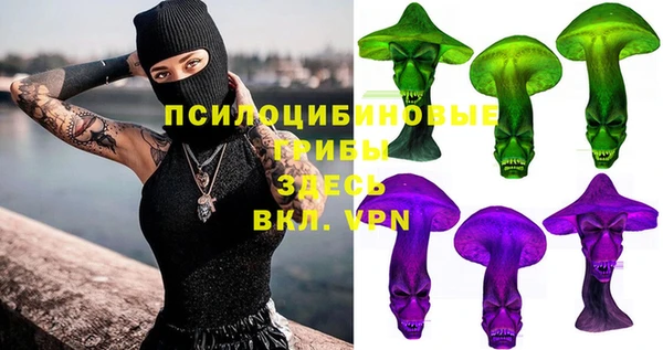 a pvp Алзамай