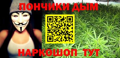 метадон Сланцы