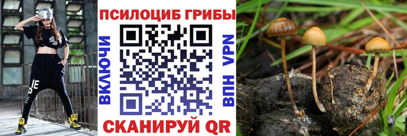 Псилоцибиновые грибы мухоморы  Волхов 