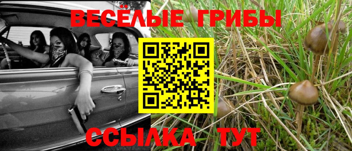 Псилоцибиновые грибы MAGIC MUSHROOMS Волхов