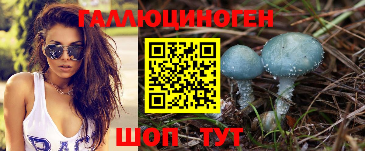 Волхов  Галлюциногенные грибы ЛСД  Вход с VPN 