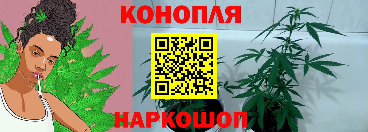 Бошки Шишки SATIVA & INDICA  Бошки марихуана LSD WEED  Конопля ГИДРОПОН  Вход с VPN  Волхов  Конопля Ganja 