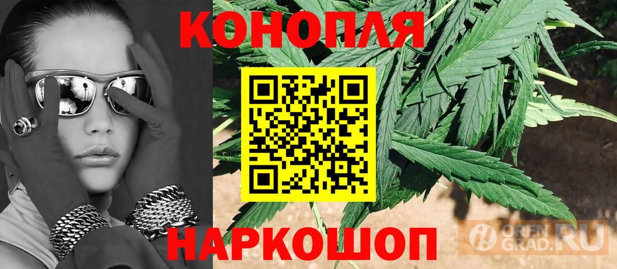 Конопля семена Волхов